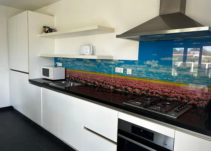 Zandloper Orchis 27 Nyaraló Julianadorp